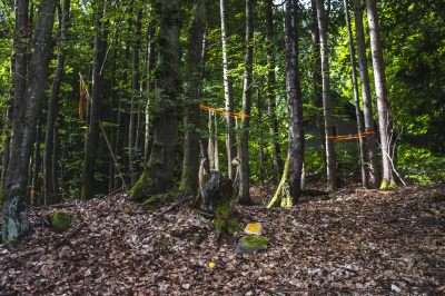 Foto: Philipp Schulz - boxquadrat